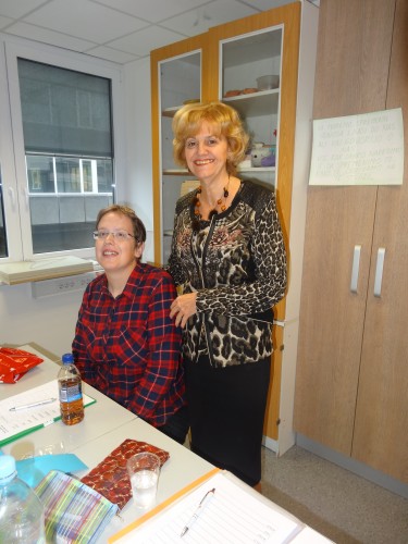 Avsenik,obnova,delavnica 057