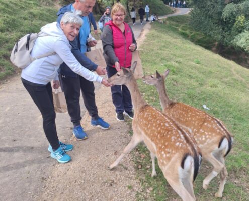 Messenger_creation_1ADEABD7-0F7A-4D57-9EB6-15ADBE4107A9